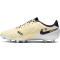 NIKE Tiempo Legend 10 Academy MG Multi-Ground Fußballschuhe 700 - lemonade/black/mtlc gold coin 40