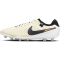 NIKE Tiempo Legend 10 Pro AG Kunstrasen-Fu&szlig;ballschuhe 700 - lemonade/black/mtlc gold coin 40