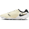 NIKE Tiempo Legend 10 Pro AG Kunstrasen-Fu&szlig;ballschuhe 700 - lemonade/black/mtlc gold coin 40