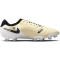 NIKE Tiempo Legend 10 Pro FG Firm-Ground Fu&szlig;ballschuhe Herren 700 - lemonade/black/mtlc gold coin 36