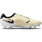NIKE Tiempo Legend 10 Pro FG Firm-Ground Fußballschuhe Herren 700 - lemonade/black/mtlc gold coin 36.5