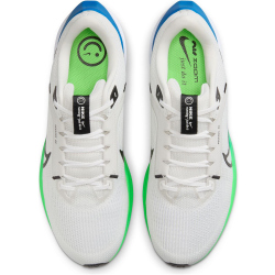 NIKE Pegasus 40 Laufschuhe Herren 006 - platinum tint/black/white/green strike 48.5