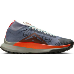 NIKE Air Zoom Pegasus Trail 4 GORE-TEX wasserfeste Trailrunning-Schuhe Herren 006 - light carbon/cosmic clay/dark stucco 44