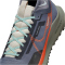 NIKE Air Zoom Pegasus Trail 4 GORE-TEX wasserfeste Trailrunning-Schuhe Herren 006 - light carbon/cosmic clay/dark stucco 44