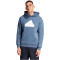 adidas Future Icons BOS Hoodie Herren