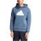 adidas Future Icons BOS Hoodie Herren