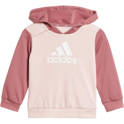 adidas Essentials Colorblock Jogginganzug Kinder