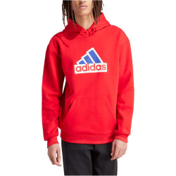 adidas Future Icons BOS Hoodie Herren
