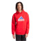 adidas Future Icons BOS Hoodie Herren