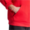 adidas Future Icons BOS Hoodie Herren