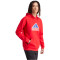 adidas Future Icons BOS Hoodie Herren
