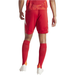 adidas Tiro24 Trainingsshorts Herren