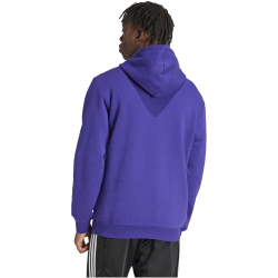 adidas DFB Deutschland DNA Hoodie Herren