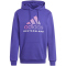 adidas DFB Deutschland DNA Hoodie Herren