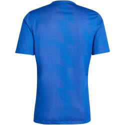 adidas Reversible 24 wendbares Trikot Herren