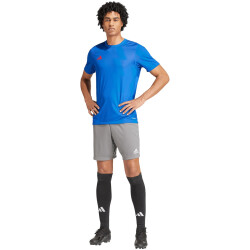adidas Reversible 24 wendbares Trikot Herren