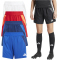 adidas Tiro 24 Competition Match Trainingsshorts Damen
