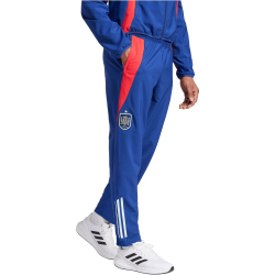 adidas RFEF Spanien Tiro Präsentationshose 2024 Herren