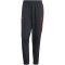 adidas Predator 30Th Woven Trainingshose Herren