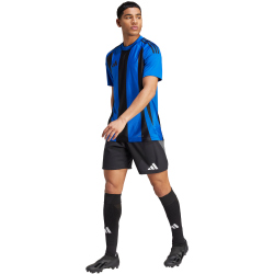 adidas Striped 24 Fu&szlig;balltrikot Herren