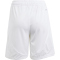 adidas RBFA Belgien Auswärtsshorts 2024 Kinder
