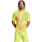 adidas Tiro 24 Pro kurzarm Torwarttrikot Herren