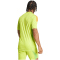 adidas Tiro 24 Pro kurzarm Torwarttrikot Herren