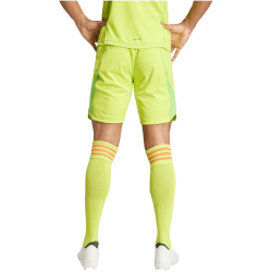 adidas Tiro24 Pro Torwart-Shorts Herren