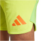 adidas Tiro 24 Pro Torwart-Shorts Herren