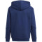 adidas Tiro24 Sweat-Hoodie Kinder