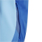 adidas Tiro 24 Competition Trainingsjacke Kinder