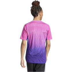 adidas DFB Deutschland Ausw&auml;rtstrikot 2024 Herren