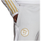 adidas FAF Algerien 2022 Trainingshose Herren