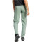 adidas TERREX Liteflex Wanderhose Damen AESX - silgrn 36