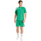 adidas Fortore 23 Trikot Herren ADCZ - teagrn/white XS