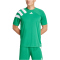 adidas Fortore 23 Trikot Herren IT5655 - team green/white XS