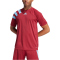 adidas Fortore 23 Trikot Herren IT5652 - team coll burgundy 2/team light blue XS