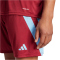 adidas Fortore 23 Trikot Herren IT5652 - team coll burgundy 2/team light blue XS