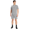 adidas Fortore 23 Trikot Herren IK5772 - team light grey/white XS