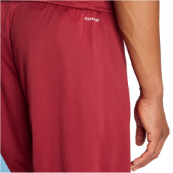 adidas Fortore 23 Shorts Herren IQ3210 - team coll...