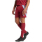 adidas Fortore 23 Shorts Herren IQ3210 - team coll burgundy 2/team light blue XS