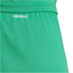 adidas Fortore 23 Shorts Herren IQ3209 - team green/white XS