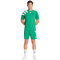 adidas Fortore 23 Shorts Herren IQ3209 - team green/white XS