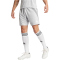 adidas Fortore 23 Shorts Herren IK5771 - team light grey/white XS