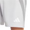 adidas Fortore 23 Shorts Herren IK5771 - team light grey/white XS