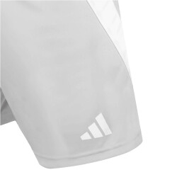 adidas Fortore 23 Shorts Herren ADFE - tmlggr/white S