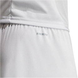 adidas Fortore 23 Shorts Herren ADFE - tmlggr/white S