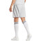 adidas Fortore 23 Shorts Herren ADFE - tmlggr/white S