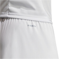 adidas Fortore 23 Shorts Herren ADFE - tmlggr/white XL