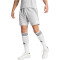 adidas Fortore 23 Shorts Herren ADFE - tmlggr/white XL